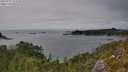 ./images/calvert/foggy-cove/20250731/foggy-cove20250731_153509M.jpg