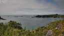 ./images/calvert/foggy-cove/20250731/foggy-cove20250731_154010M.jpg