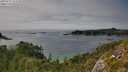 ./images/calvert/foggy-cove/20250731/foggy-cove20250731_154510M.jpg