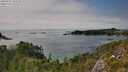 ./images/calvert/foggy-cove/20250731/foggy-cove20250731_155508M.jpg