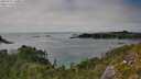 ./images/calvert/foggy-cove/20250731/foggy-cove20250731_160011M.jpg