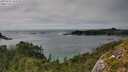 ./images/calvert/foggy-cove/20250731/foggy-cove20250731_161510M.jpg