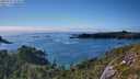 ./images/calvert/foggy-cove/20250731/foggy-cove20250731_174010M.jpg