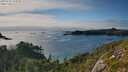 ./images/calvert/foggy-cove/20250731/foggy-cove20250731_175011M.jpg
