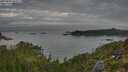 ./images/calvert/foggy-cove/20250801/foggy-cove20250801_055507M.jpg