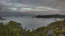 ./images/calvert/foggy-cove/20250801/foggy-cove20250801_063508M.jpg