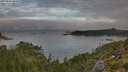 ./images/calvert/foggy-cove/20250801/foggy-cove20250801_064510M.jpg