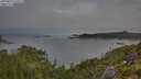 ./images/calvert/foggy-cove/20250801/foggy-cove20250801_070509M.jpg