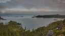./images/calvert/foggy-cove/20250801/foggy-cove20250801_071510M.jpg