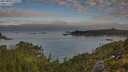 ./images/calvert/foggy-cove/20250801/foggy-cove20250801_072509M.jpg
