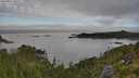 ./images/calvert/foggy-cove/20250801/foggy-cove20250801_080507M.jpg