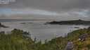 ./images/calvert/foggy-cove/20250801/foggy-cove20250801_081009M.jpg