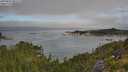 ./images/calvert/foggy-cove/20250801/foggy-cove20250801_081510M.jpg
