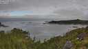 ./images/calvert/foggy-cove/20250801/foggy-cove20250801_082011M.jpg