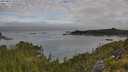 ./images/calvert/foggy-cove/20250801/foggy-cove20250801_082509M.jpg