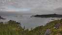 ./images/calvert/foggy-cove/20250801/foggy-cove20250801_083011M.jpg
