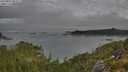 ./images/calvert/foggy-cove/20250801/foggy-cove20250801_083508M.jpg