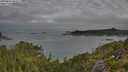 ./images/calvert/foggy-cove/20250801/foggy-cove20250801_084009M.jpg