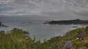 ./images/calvert/foggy-cove/20250801/foggy-cove20250801_084510M.jpg