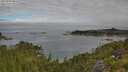./images/calvert/foggy-cove/20250801/foggy-cove20250801_085509M.jpg
