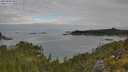./images/calvert/foggy-cove/20250801/foggy-cove20250801_090508M.jpg