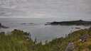 ./images/calvert/foggy-cove/20250801/foggy-cove20250801_092009M.jpg