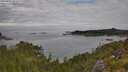 ./images/calvert/foggy-cove/20250801/foggy-cove20250801_092509M.jpg