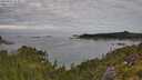 ./images/calvert/foggy-cove/20250801/foggy-cove20250801_093011M.jpg