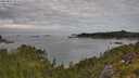./images/calvert/foggy-cove/20250801/foggy-cove20250801_093509M.jpg
