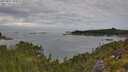 ./images/calvert/foggy-cove/20250801/foggy-cove20250801_094010M.jpg