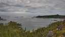 ./images/calvert/foggy-cove/20250801/foggy-cove20250801_095510M.jpg