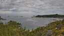 ./images/calvert/foggy-cove/20250801/foggy-cove20250801_100509M.jpg