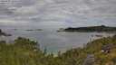./images/calvert/foggy-cove/20250801/foggy-cove20250801_101010M.jpg