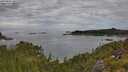 ./images/calvert/foggy-cove/20250801/foggy-cove20250801_101510M.jpg