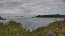 ./images/calvert/foggy-cove/20250801/foggy-cove20250801_102011M.jpg