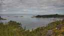 ./images/calvert/foggy-cove/20250801/foggy-cove20250801_105510M.jpg