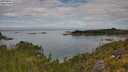 ./images/calvert/foggy-cove/20250801/foggy-cove20250801_110508M.jpg