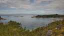 ./images/calvert/foggy-cove/20250801/foggy-cove20250801_111010M.jpg