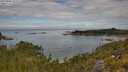 ./images/calvert/foggy-cove/20250801/foggy-cove20250801_111511M.jpg