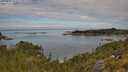 ./images/calvert/foggy-cove/20250801/foggy-cove20250801_112509M.jpg