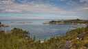 ./images/calvert/foggy-cove/20250801/foggy-cove20250801_114510M.jpg