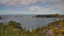 ./images/calvert/foggy-cove/20250801/foggy-cove20250801_131009M.jpg