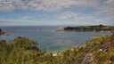 ./images/calvert/foggy-cove/20250801/foggy-cove20250801_131509M.jpg