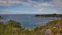 ./images/calvert/foggy-cove/20250801/foggy-cove20250801_132510M.jpg