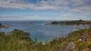 ./images/calvert/foggy-cove/20250801/foggy-cove20250801_133508M.jpg