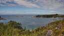 ./images/calvert/foggy-cove/20250801/foggy-cove20250801_135510M.jpg