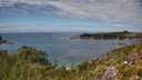 ./images/calvert/foggy-cove/20250801/foggy-cove20250801_140011M.jpg