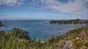 ./images/calvert/foggy-cove/20250801/foggy-cove20250801_141010M.jpg