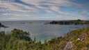 ./images/calvert/foggy-cove/20250801/foggy-cove20250801_151510M.jpg