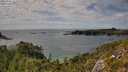 ./images/calvert/foggy-cove/20250801/foggy-cove20250801_155010M.jpg